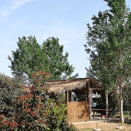 Bnatural Glamping Naturista/Nudista Baratti Zewnętrze zdjęcie
