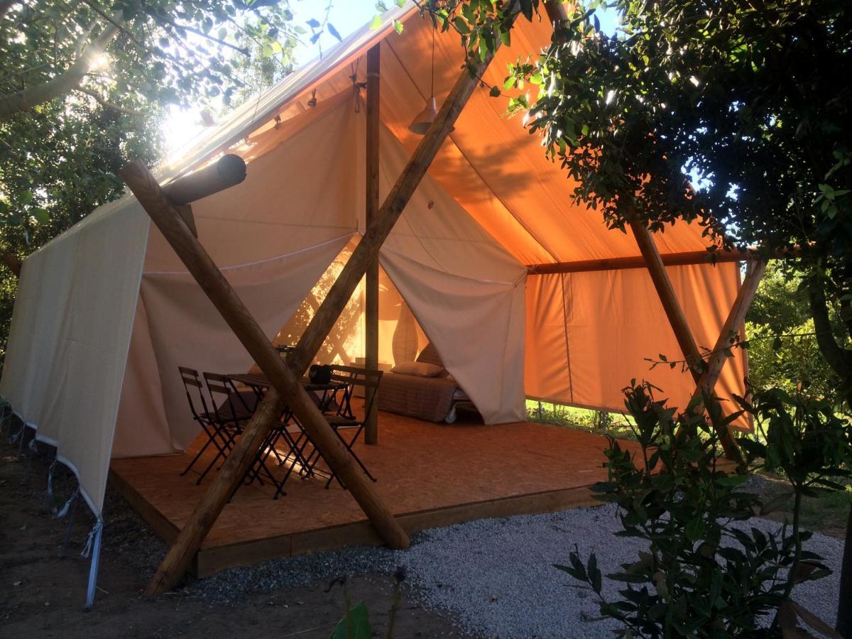 Bnatural Glamping Naturista/Nudista Baratti Zewnętrze zdjęcie