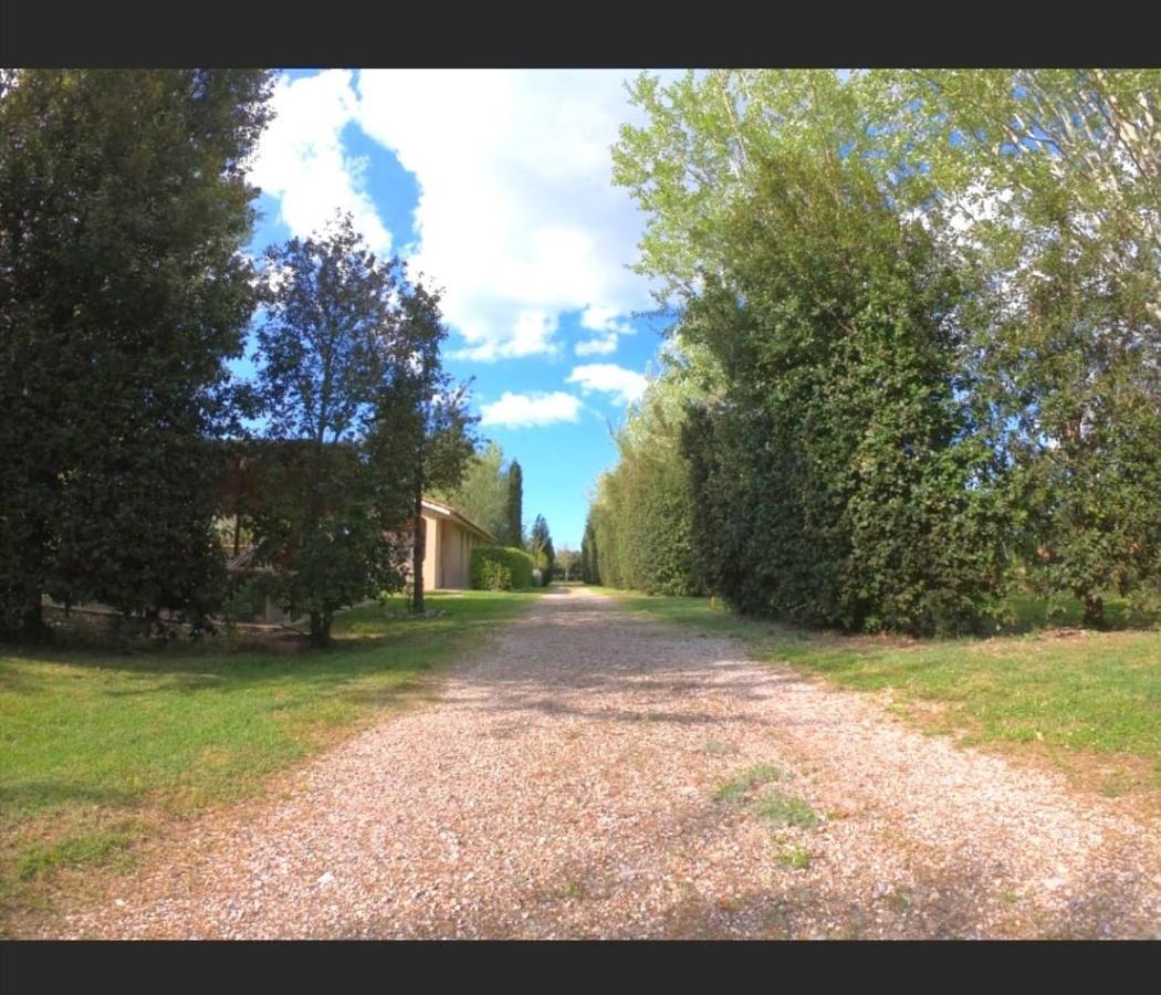 Bnatural Glamping Naturista/Nudista Baratti Zewnętrze zdjęcie