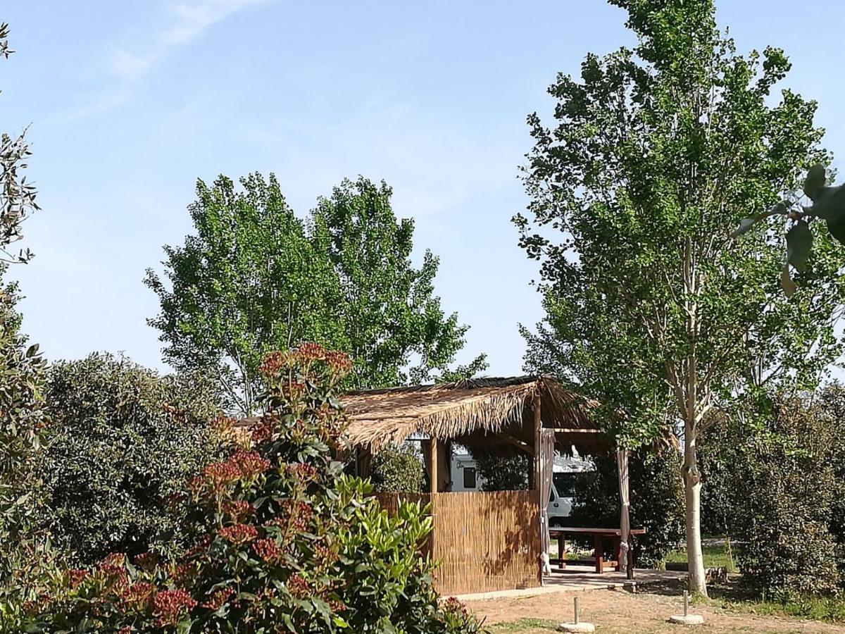Bnatural Glamping Naturista/Nudista Baratti Zewnętrze zdjęcie
