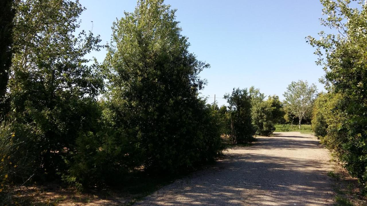 Bnatural Glamping Naturista/Nudista Baratti Zewnętrze zdjęcie