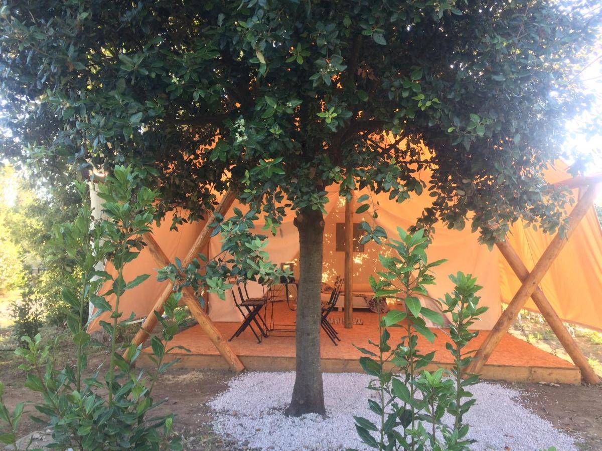 Bnatural Glamping Naturista/Nudista Baratti Zewnętrze zdjęcie
