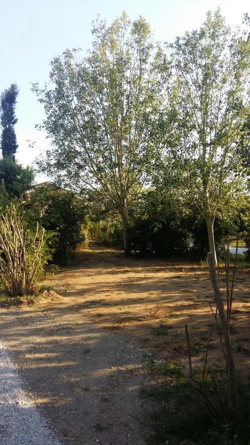 Bnatural Glamping Naturista/Nudista Baratti Zewnętrze zdjęcie
