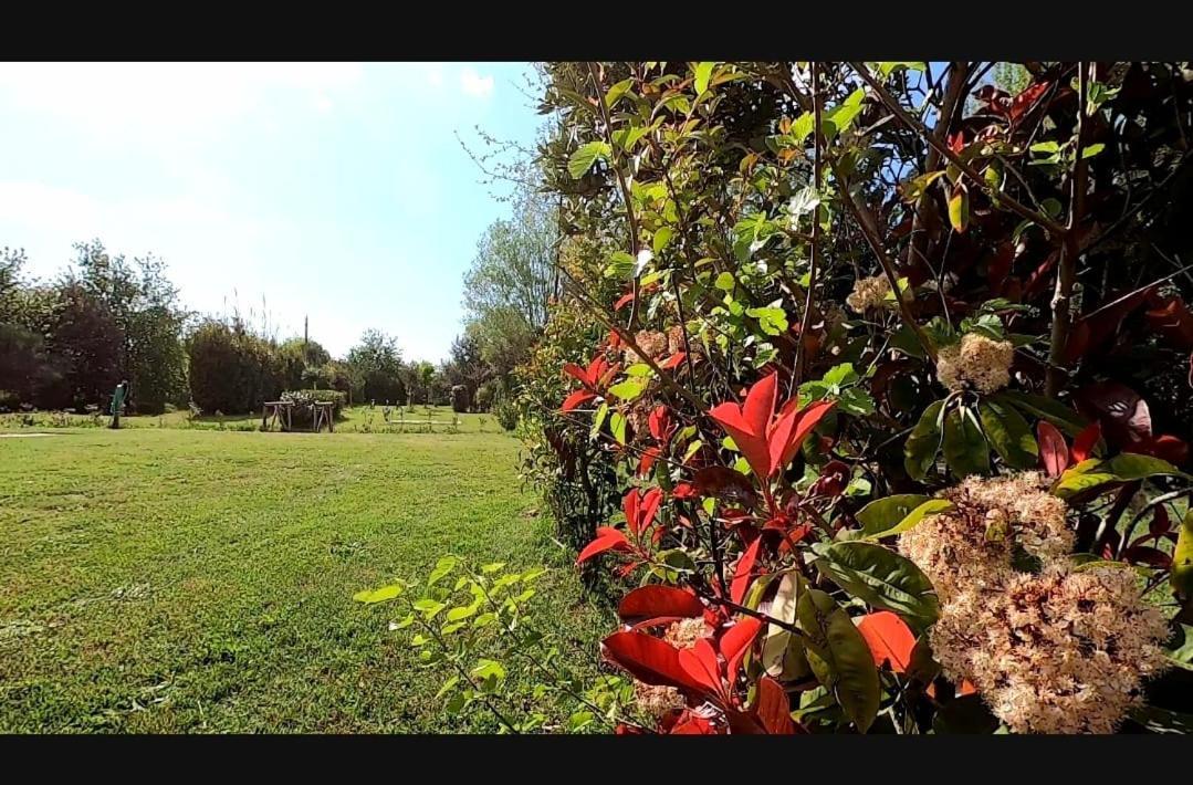 Bnatural Glamping Naturista/Nudista Baratti Zewnętrze zdjęcie